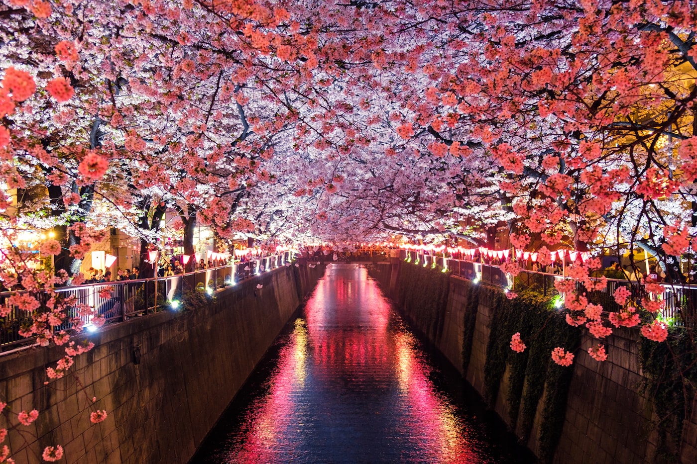 大阪(Osaka)自由行